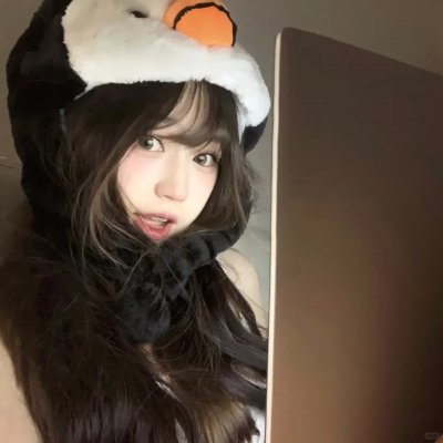 北极故事